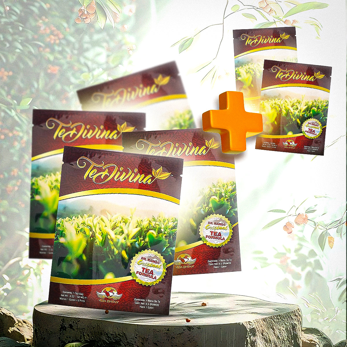 TeDivina (4 Weeks) + Plus two additional weeks free