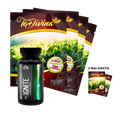 TeDivina (6 Semanas) + IGNITE + GANO (KIT SUPER DIGESTIVO)