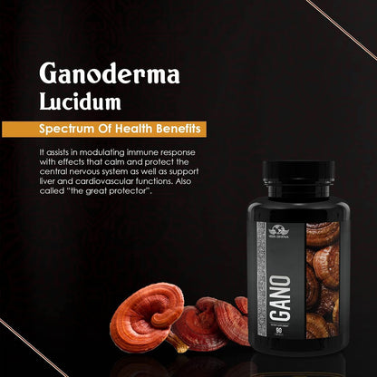 GANO