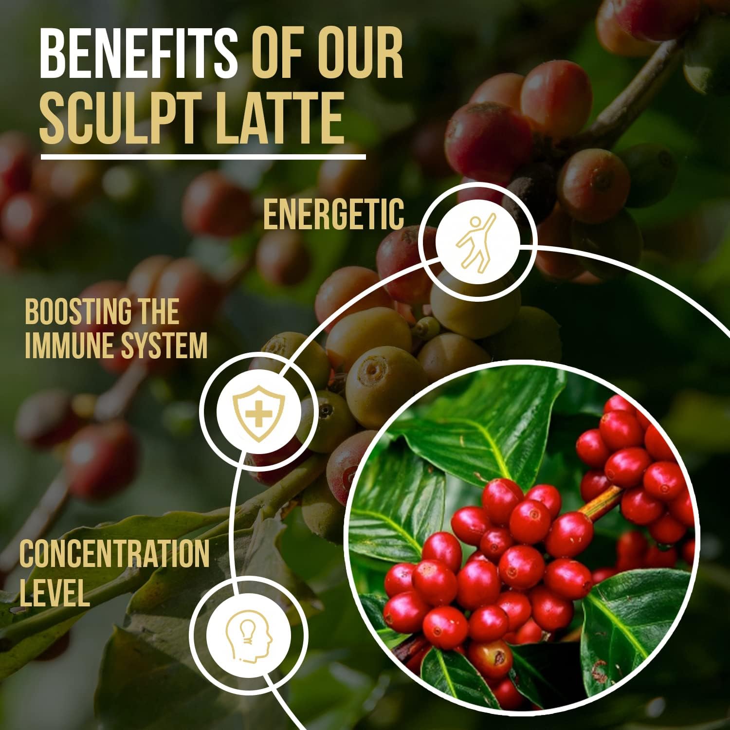 SCULPT LATTE