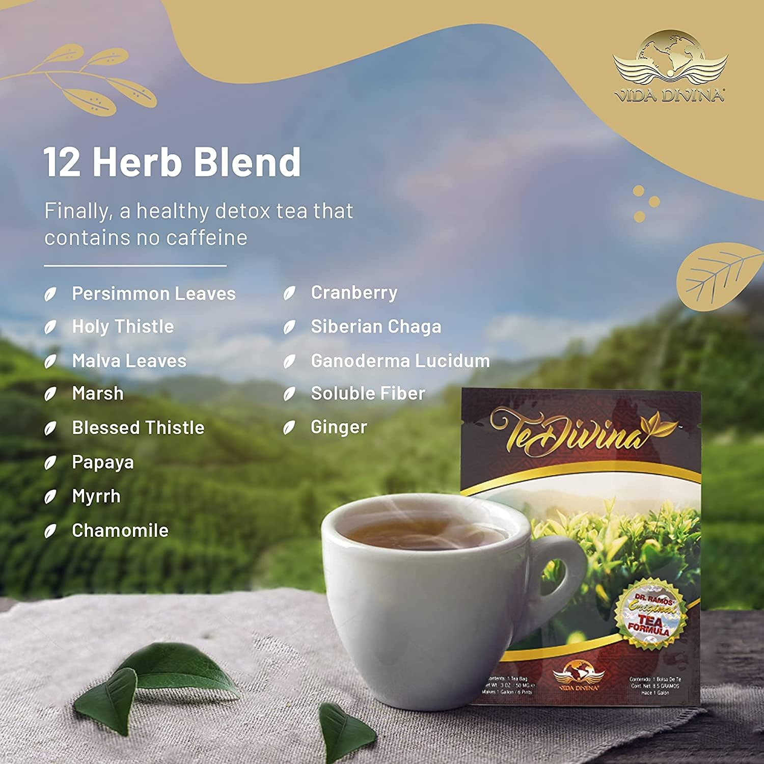 TeDivina (4 Weeks) + Plus two additional weeks free